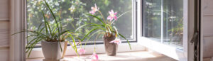 Preparando tu hogar para la primavera
