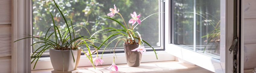 Preparando tu hogar para la primavera